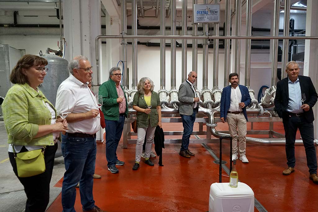 Sommertour Wein